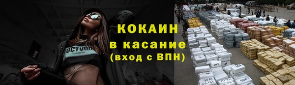 твердый Ладушкин