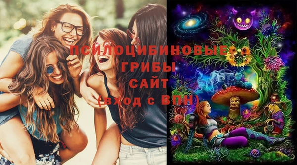 твердый Ладушкин
