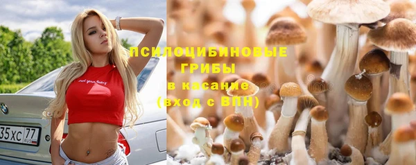 мдма Лагань