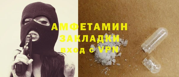 твердый Ладушкин