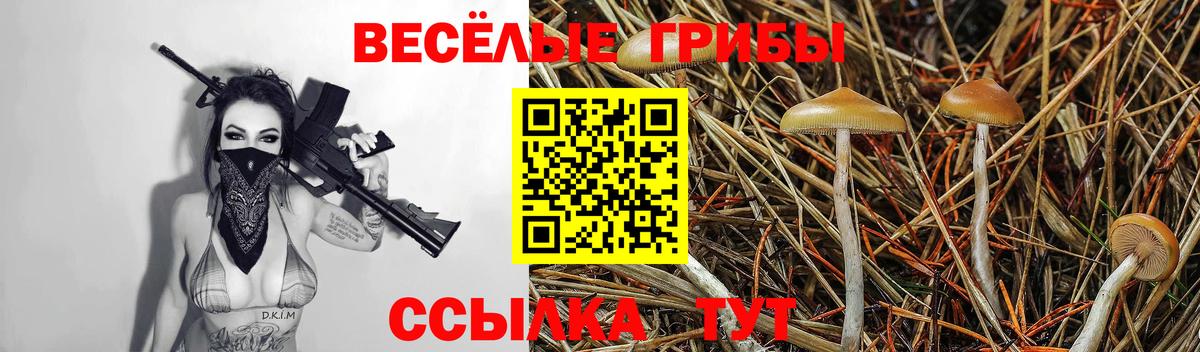 Старая Русса  Галлюциногенные грибы мицелий  Вход с VPN 