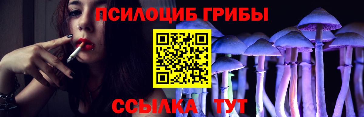 Псилоцибиновые грибы мухоморы Старая Русса